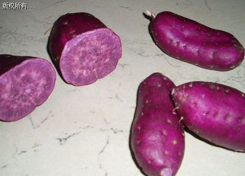 广薯135紫薯苗